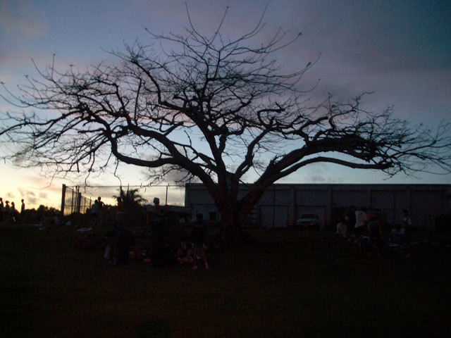 IMGP14160046.jpg