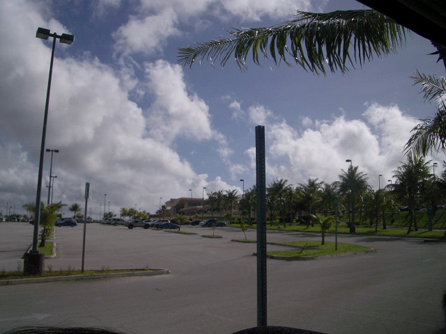 IMGP14230050.jpg