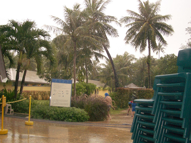 IMGP14280052.jpg