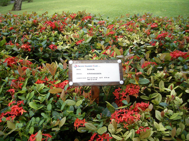 IMGP14300054.jpg