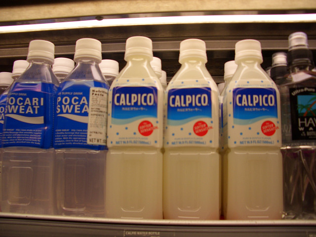 CIMG03140008.jpg