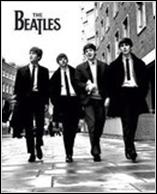 beatles-the-the-beatles-1192706.jpg the beatles image by princesssammy14