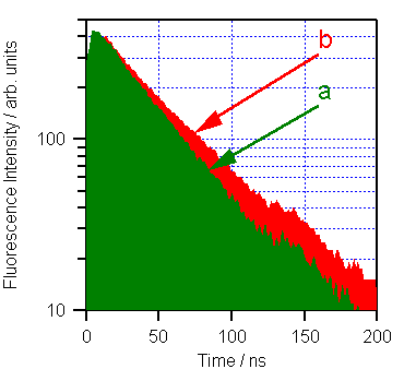 fluorescence decay curves