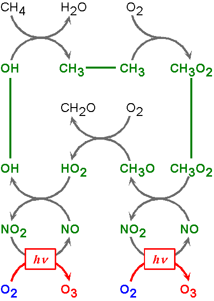Formation