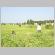 DSC01296.JPG