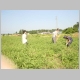 DSC01313.JPG
