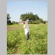 DSC01316.JPG