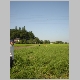 DSC01320.JPG